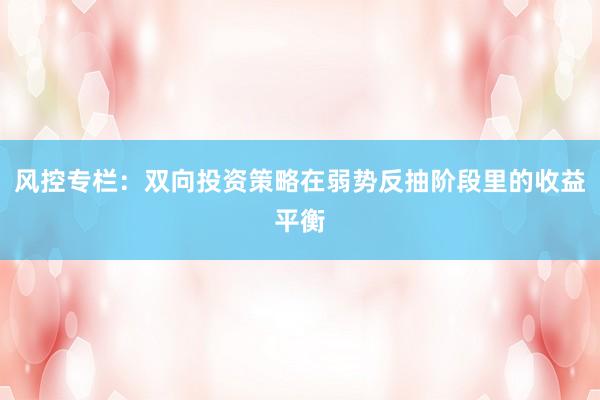 风控专栏：双向投资策略在弱势反抽阶段里的收益平衡