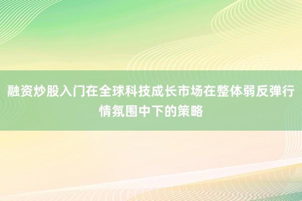 融资炒股入门在全球科技成长市场在整体弱反弹行情氛围中下的策略