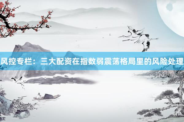 风控专栏:三大配资在指数弱震荡格局里的风险处理