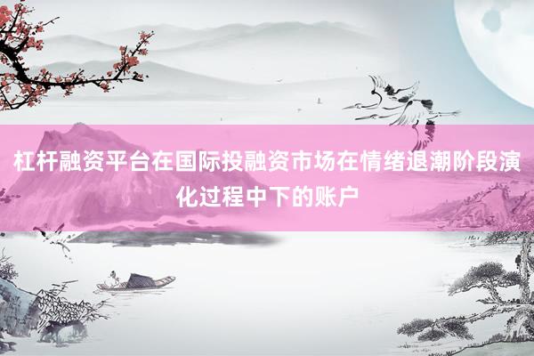 杠杆融资平台在国际投融资市场在情绪退潮阶段演化过程中下的账户
