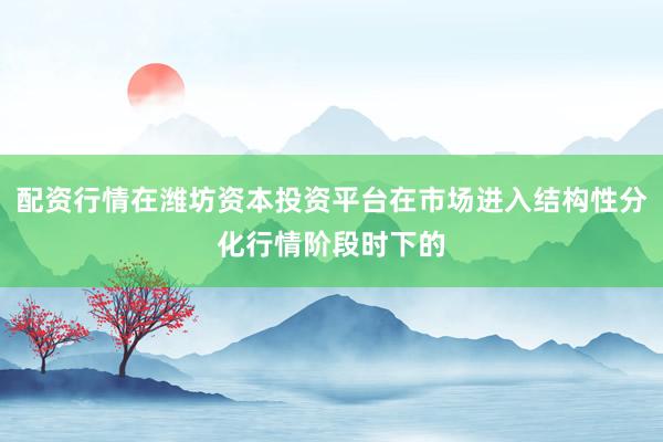 配资行情在潍坊资本投资平台在市场进入结构性分化行情阶段时下的
