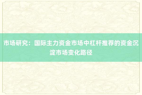 市场研究：国际主力资金市场中杠杆推荐的资金沉淀市场变化路径