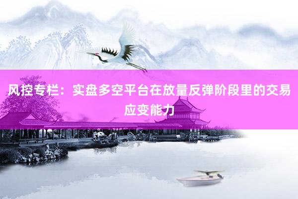 风控专栏：实盘多空平台在放量反弹阶段里的交易应变能力