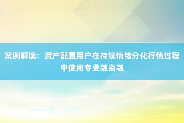 案例解读：资产配置用户在持续情绪分化行情过程中使用专业融资融