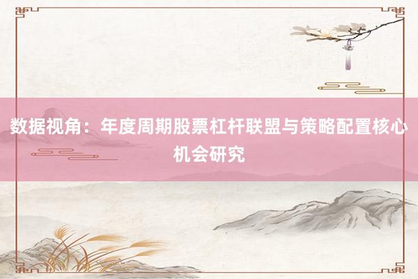 数据视角：年度周期股票杠杆联盟与策略配置核心机会研究