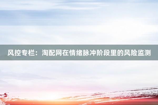 风控专栏：淘配网在情绪脉冲阶段里的风险监测