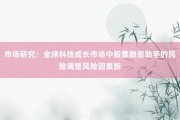 市场研究：全球科技成长市场中股票融资助手的风险调整风险因素拆