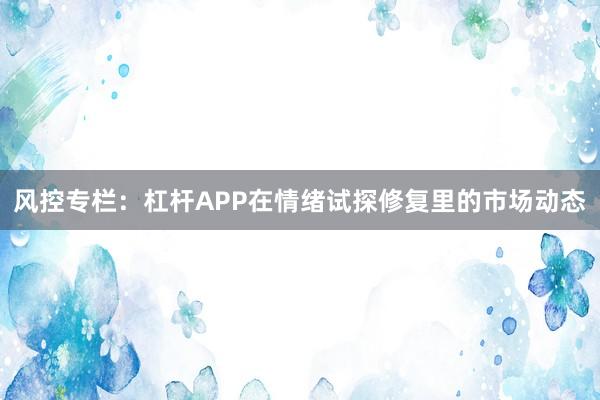 风控专栏：杠杆APP在情绪试探修复里的市场动态