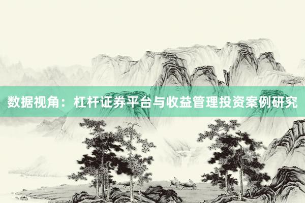 数据视角：杠杆证券平台与收益管理投资案例研究