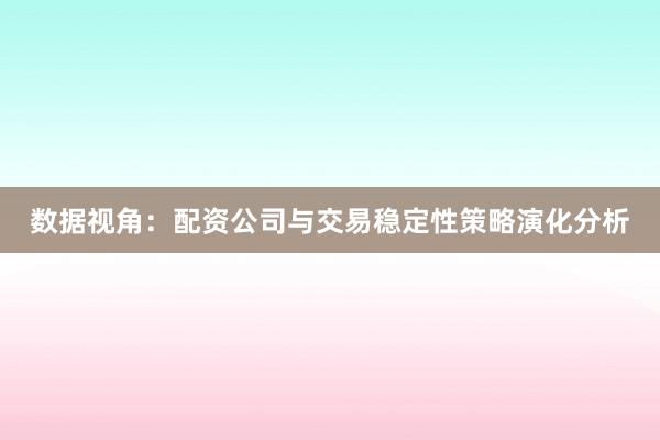 数据视角：配资公司与交易稳定性策略演化分析