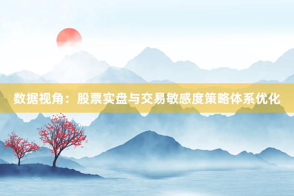 数据视角：股票实盘与交易敏感度策略体系优化