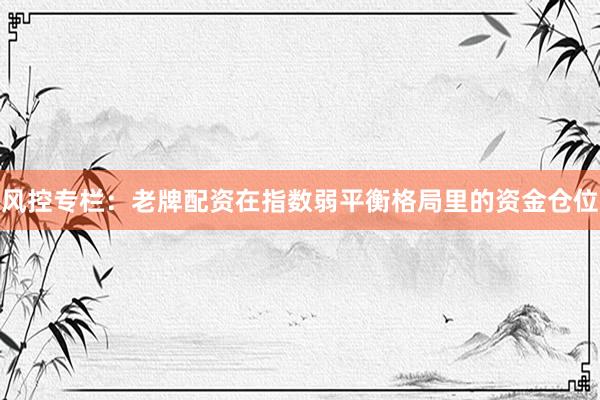 风控专栏：老牌配资在指数弱平衡格局里的资金仓位
