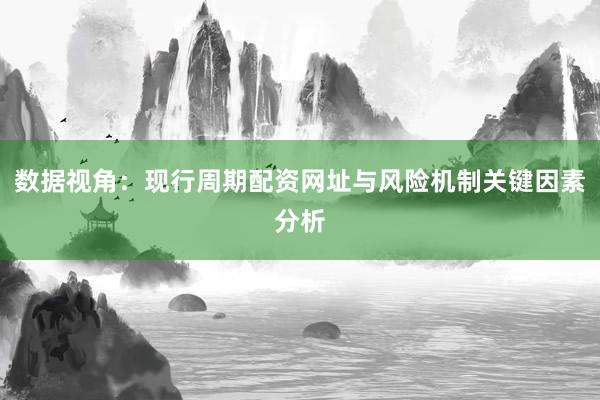 数据视角：现行周期配资网址与风险机制关键因素分析