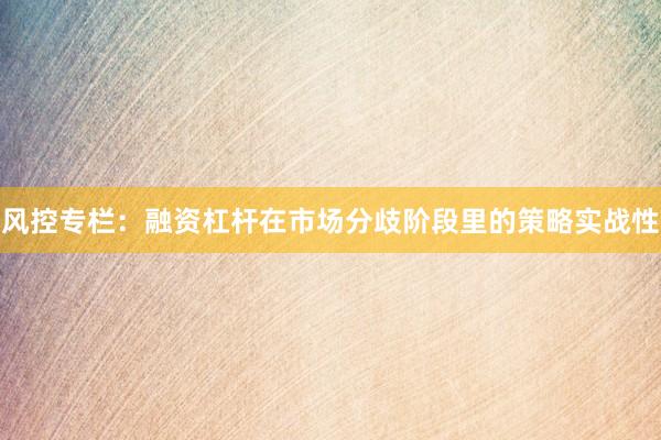 风控专栏：融资杠杆在市场分歧阶段里的策略实战性