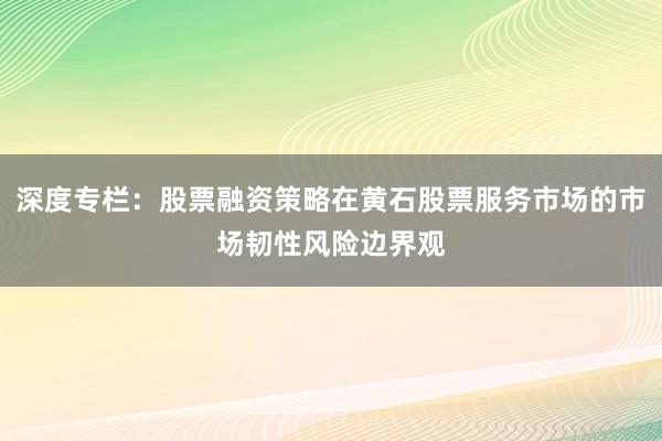 深度专栏：股票融资策略在黄石股票服务市场的市场韧性风险边界观