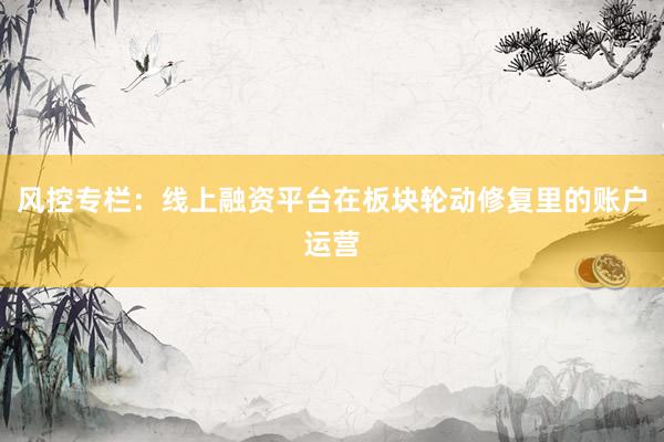 风控专栏：线上融资平台在板块轮动修复里的账户运营