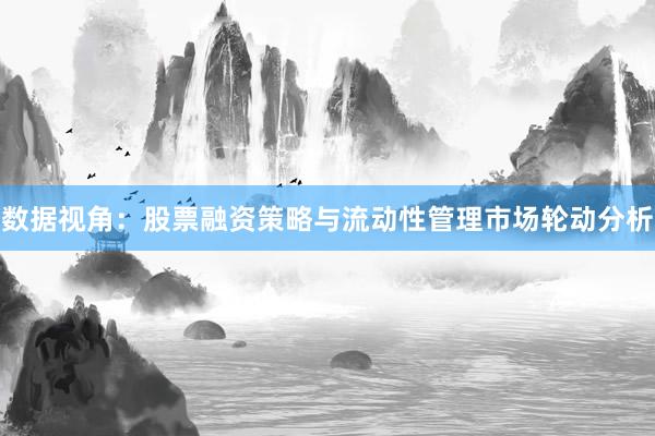 数据视角：股票融资策略与流动性管理市场轮动分析