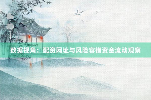 数据视角：配资网址与风险容错资金流动观察