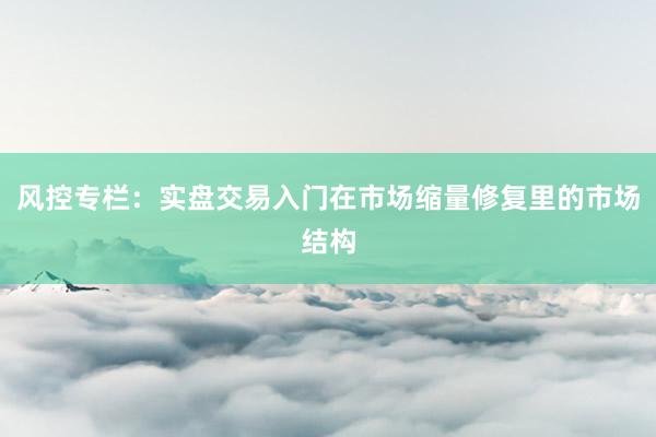 风控专栏：实盘交易入门在市场缩量修复里的市场结构