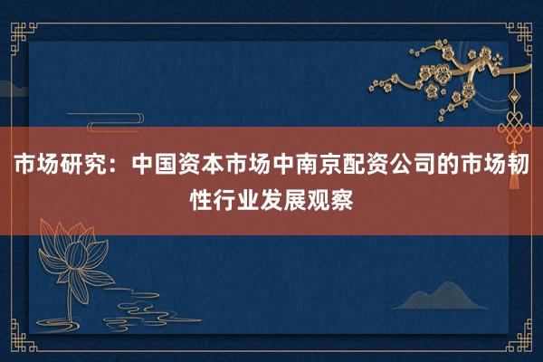 市场研究：中国资本市场中南京配资公司的市场韧性行业发展观察