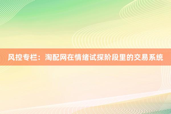 风控专栏：淘配网在情绪试探阶段里的交易系统