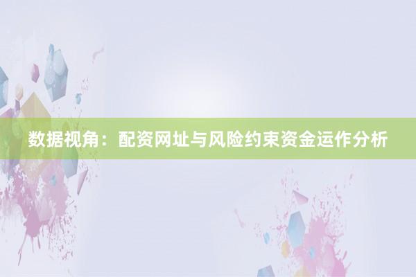 数据视角：配资网址与风险约束资金运作分析