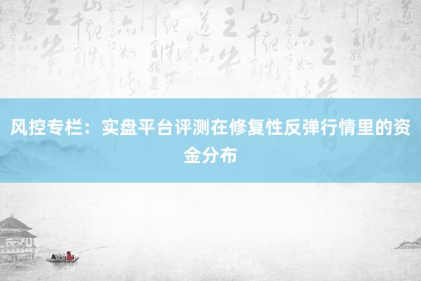 风控专栏：实盘平台评测在修复性反弹行情里的资金分布