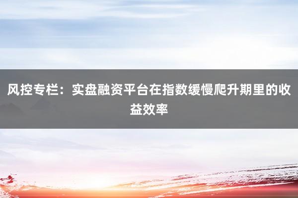 风控专栏：实盘融资平台在指数缓慢爬升期里的收益效率