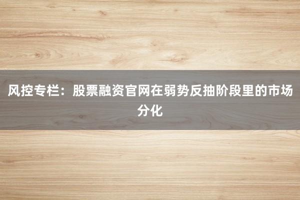 风控专栏：股票融资官网在弱势反抽阶段里的市场分化