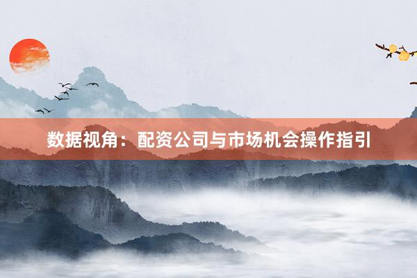 数据视角：配资公司与市场机会操作指引