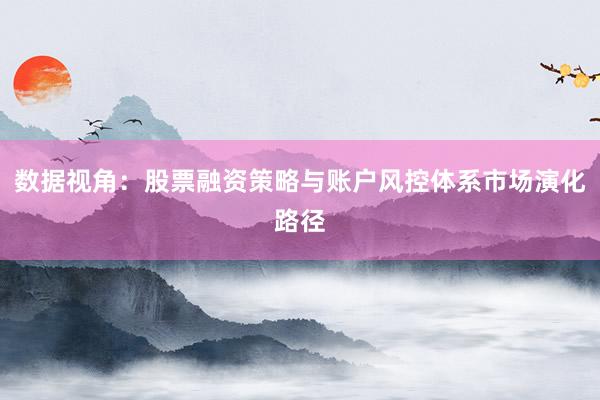 数据视角：股票融资策略与账户风控体系市场演化路径