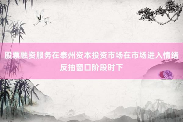 股票融资服务在泰州资本投资市场在市场进入情绪反抽窗口阶段时下