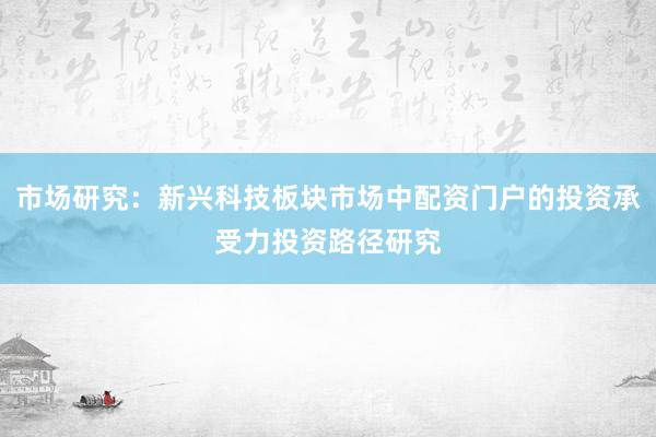市场研究：新兴科技板块市场中配资门户的投资承受力投资路径研究