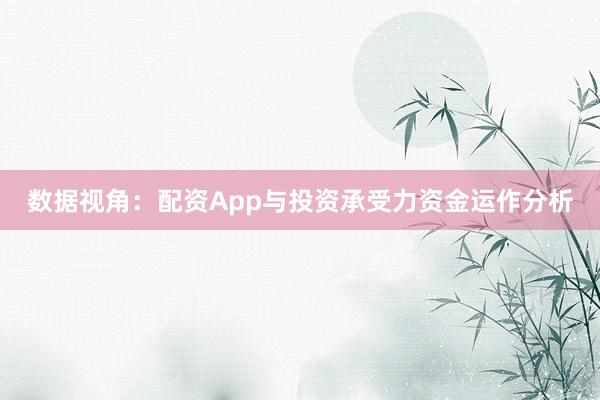 数据视角：配资App与投资承受力资金运作分析