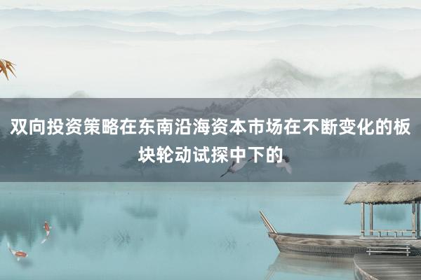 双向投资策略在东南沿海资本市场在不断变化的板块轮动试探中下的