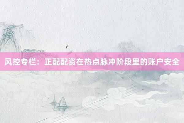 风控专栏：正配配资在热点脉冲阶段里的账户安全
