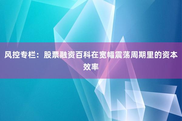 风控专栏：股票融资百科在宽幅震荡周期里的资本效率
