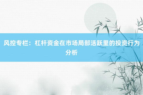 风控专栏：杠杆资金在市场局部活跃里的投资行为分析