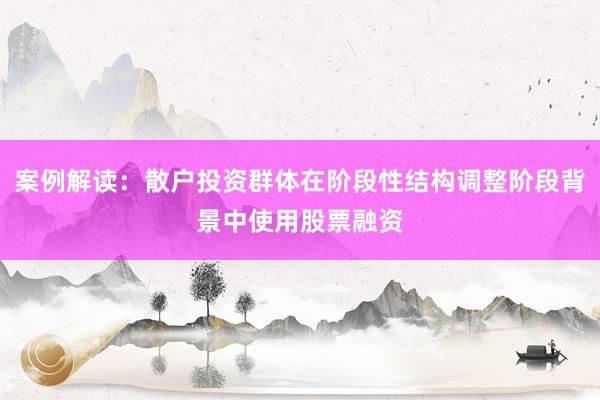 案例解读：散户投资群体在阶段性结构调整阶段背景中使用股票融资