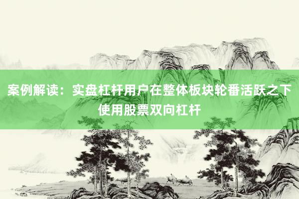案例解读：实盘杠杆用户在整体板块轮番活跃之下使用股票双向杠杆
