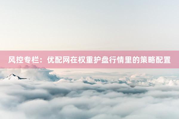 风控专栏：优配网在权重护盘行情里的策略配置