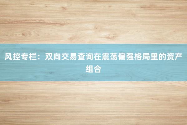 风控专栏：双向交易查询在震荡偏强格局里的资产组合