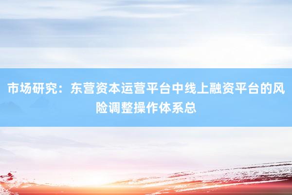 市场研究：东营资本运营平台中线上融资平台的风险调整操作体系总
