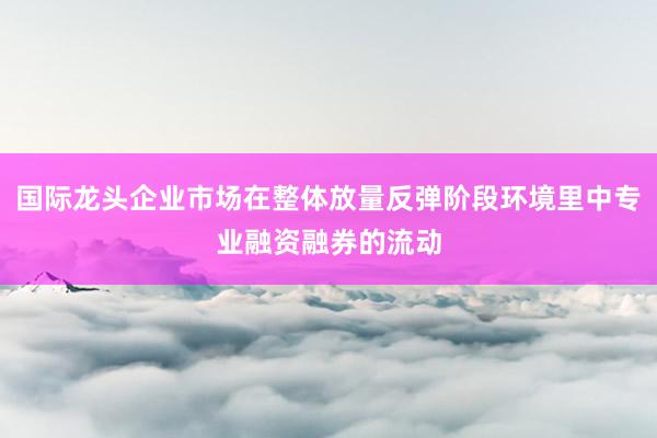 国际龙头企业市场在整体放量反弹阶段环境里中专业融资融券的流动