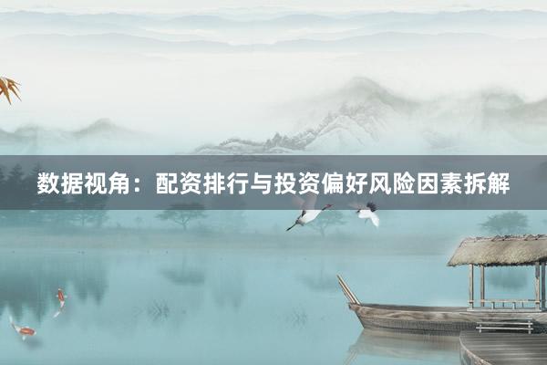 数据视角：配资排行与投资偏好风险因素拆解