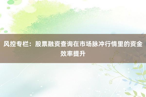 风控专栏：股票融资查询在市场脉冲行情里的资金效率提升