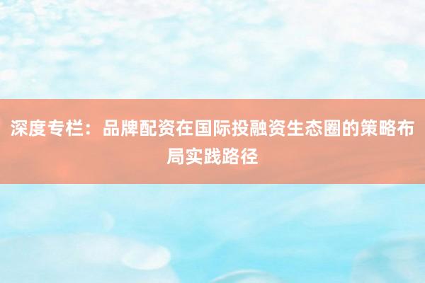 深度专栏：品牌配资在国际投融资生态圈的策略布局实践路径