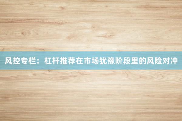 风控专栏：杠杆推荐在市场犹豫阶段里的风险对冲