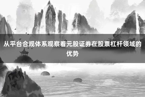 从平台合规体系观察看元股证券在股票杠杆领域的优势