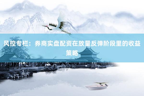 风控专栏：券商实盘配资在放量反弹阶段里的收益策略
